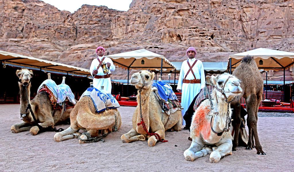 Sun City Camp Hotel Wadi Rum Exterior photo